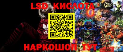 гидра Волгодонск