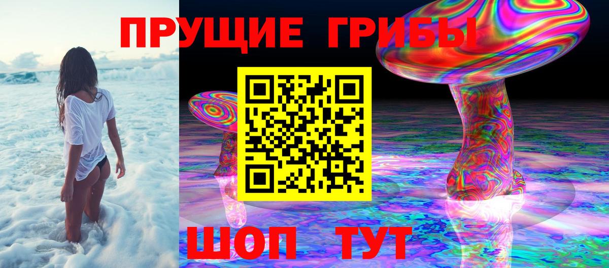 Белорецк  Галлюциногенные грибы Psilocybine cubensis  Вход с VPN 